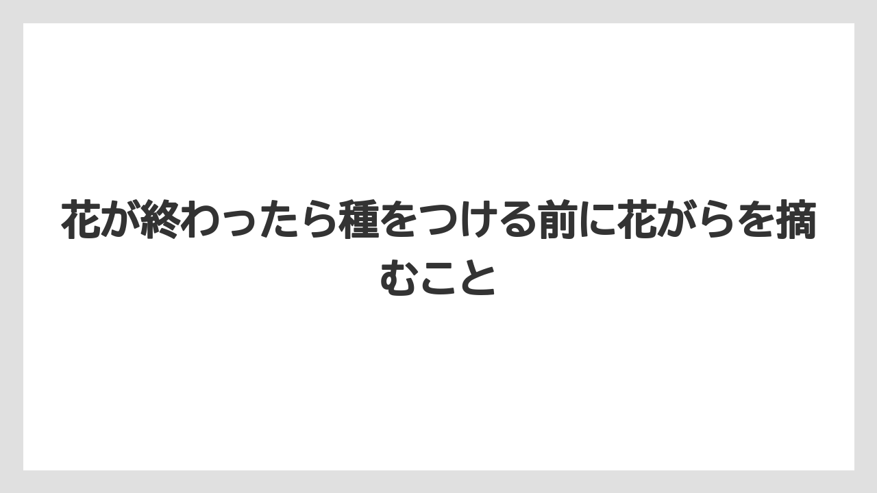 【いけない】【ハナニラ】【庭】【栽培】【植え】花が終わったら種をつける前に花がらを摘むこと