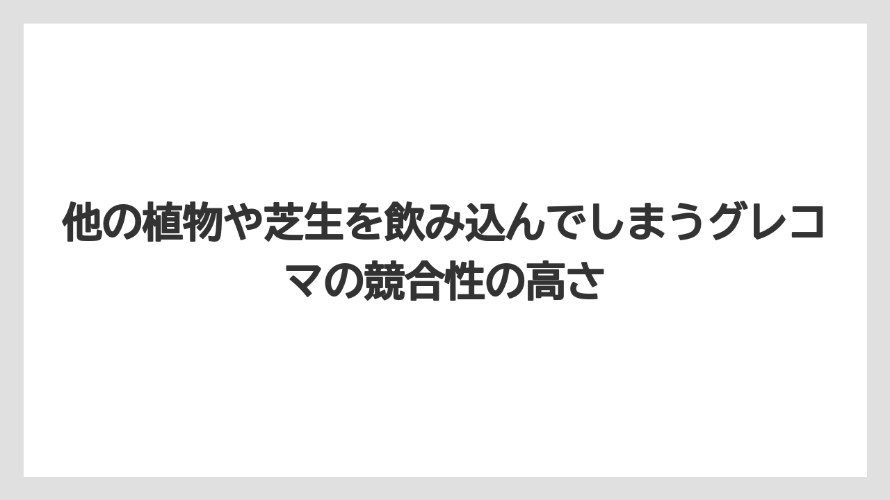 【栽培】【農園】【農業】他の植物や芝生を飲み込んでしまうグレコマの競合性の高さ
