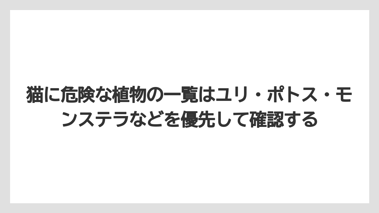 【しそ】【モンステラ】【栽培】【猫】【猫草】猫に危険な植物の一覧はユリ・ポトス・モンステラなどを優先して確認する