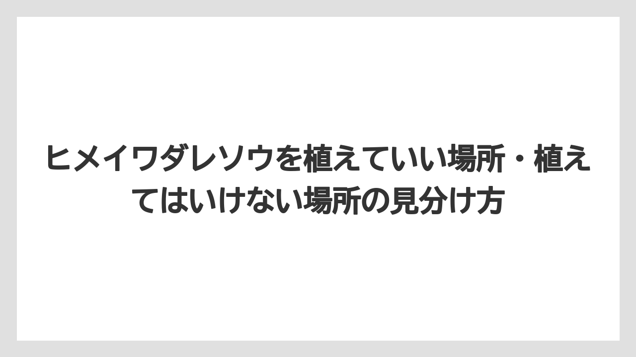 【栽培】【農園】【農業】ヒメイワダレソウを植えていい場所・植えてはいけない場所の見分け方