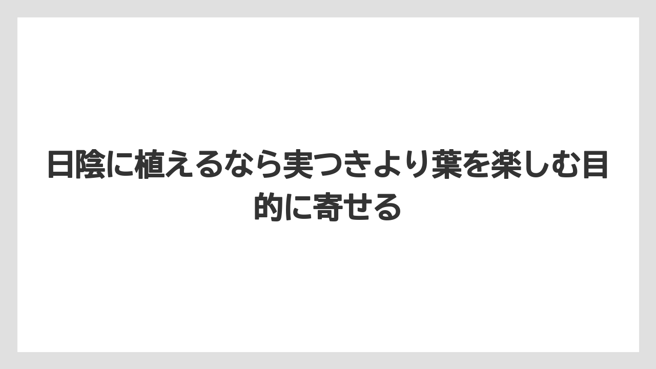 【栽培】【農園】【農業】日陰に植えるなら実つきより葉を楽しむ目的に寄せる