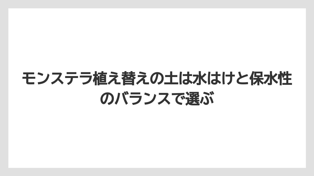 【モンステラ】【栽培】【農業】モンステラ植え替えの土は水はけと保水性のバランスで選ぶ