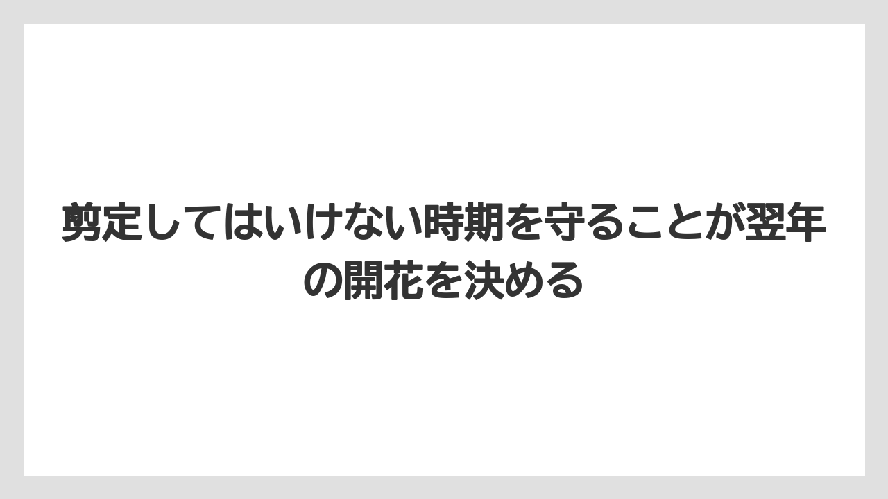 【剪定】【庭】【植え】【育て方】【花】剪定してはいけない時期を守ることが翌年の開花を決める