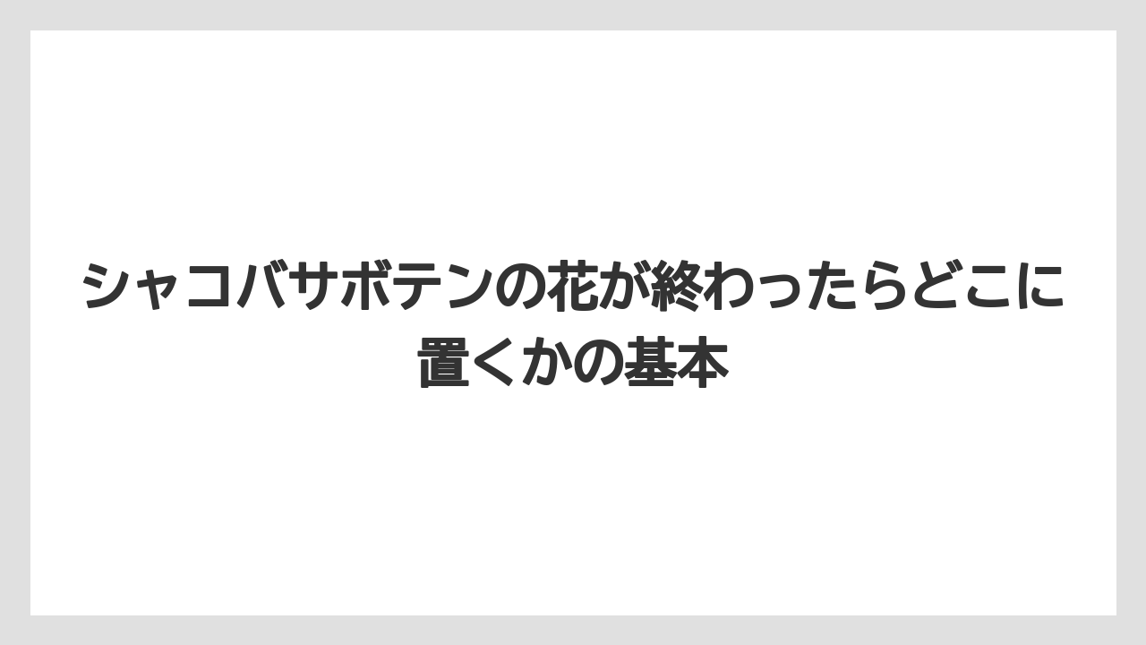 シャコバサボテンの花が終わったらどこに置くかの基本