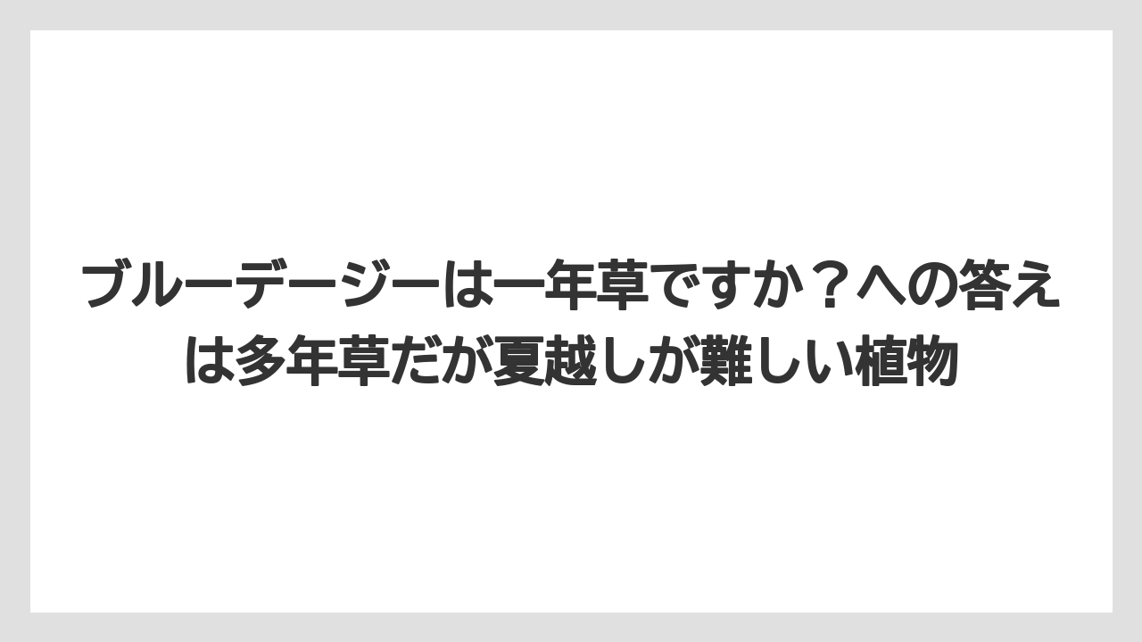 【栽培】【農園】【農業】ブルーデージーは一年草ですか？への答えは多年草だが夏越しが難しい植物