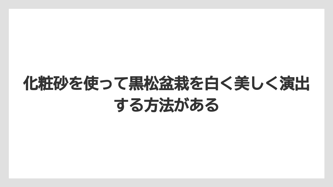 【栽培】【農園】【農業】化粧砂を使って黒松盆栽を白く美しく演出する方法がある