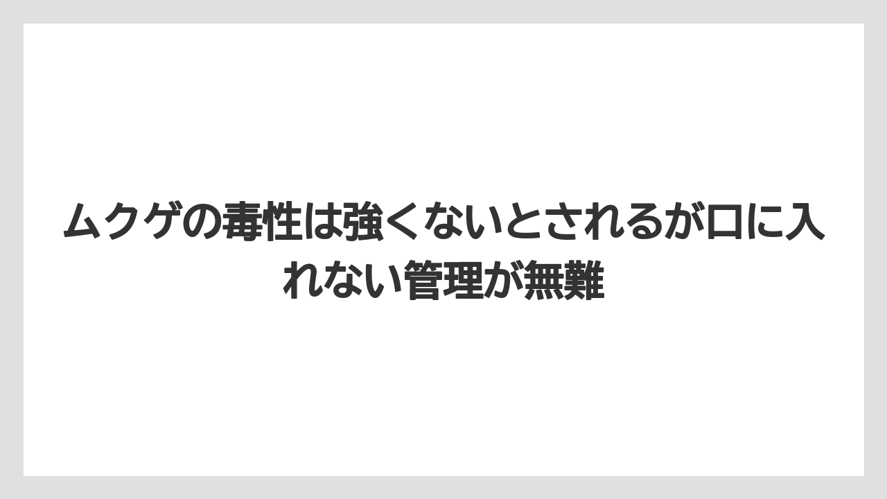 【いけない】【後悔】【栽培】【植え】ムクゲの毒性は強くないとされるが口に入れない管理が無難