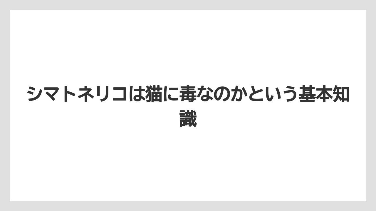 シマトネリコは猫に毒なのかという基本知識