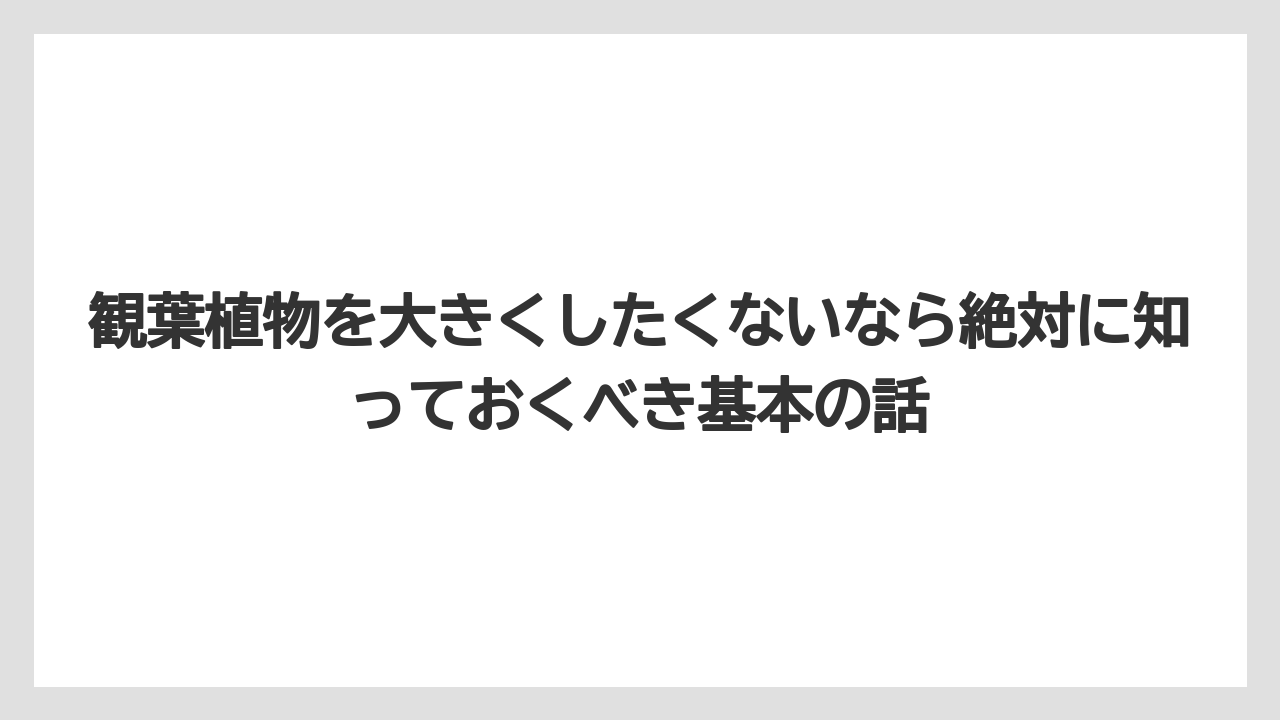 観葉植物を大きくしたくないなら絶対に知っておくべき基本の話