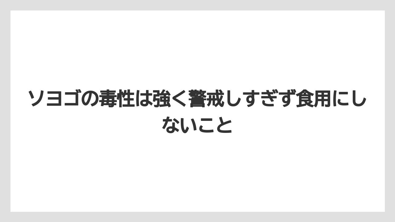 【ソヨゴ】【栽培】【農業】ソヨゴの毒性は強く警戒しすぎず食用にしないこと