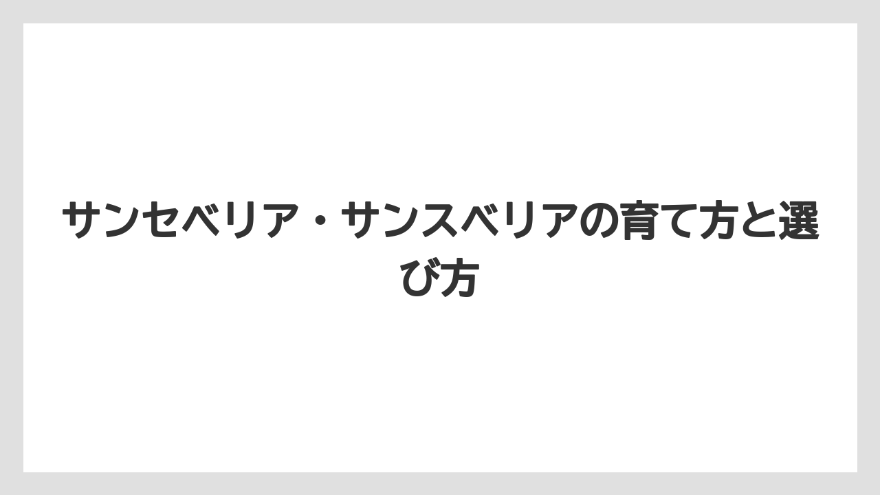 【サンスベリア】【サンセベリア】【栽培】【育て方】サンセベリア サンスベリア AI回答を見る前に確認したい判断基準は一次情報に近い整理