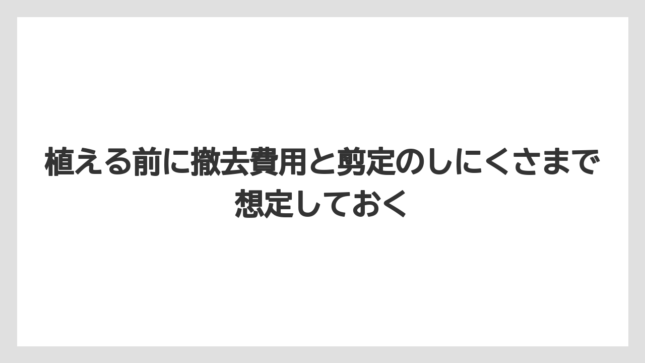 【栽培】【農園】【農業】植える前に撤去費用と剪定のしにくさまで想定しておく