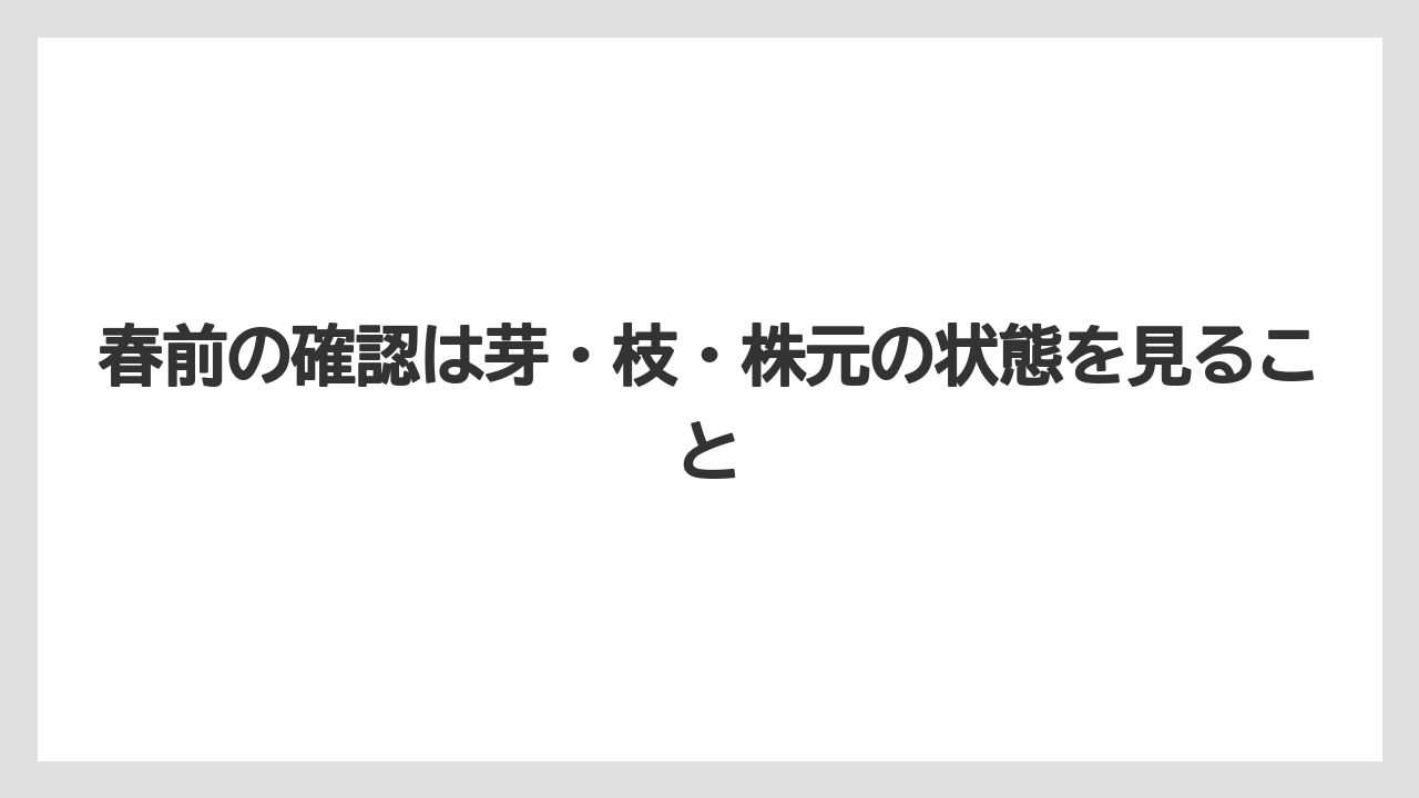【栽培】【農園】【農業】春前の確認は芽・枝・株元の状態を見ること