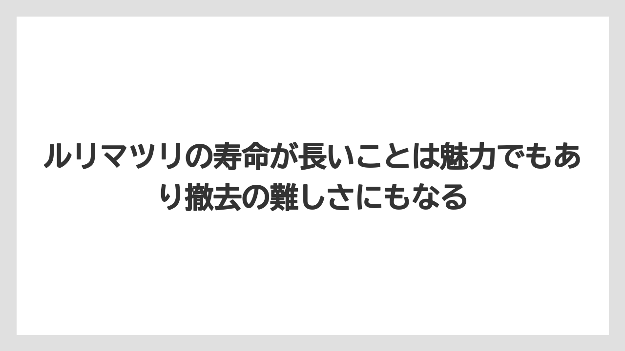 【いけない】【後悔】【栽培】【植え】ルリマツリの寿命が長いことは魅力でもあり撤去の難しさにもなる