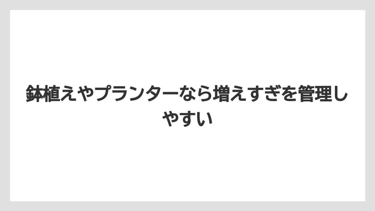 【栽培】【農園】【農業】鉢植えやプランターなら増えすぎを管理しやすい