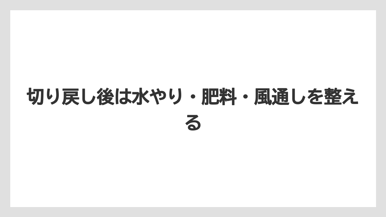 【栽培】【農園】【農業】切り戻し後は水やり・肥料・風通しを整える