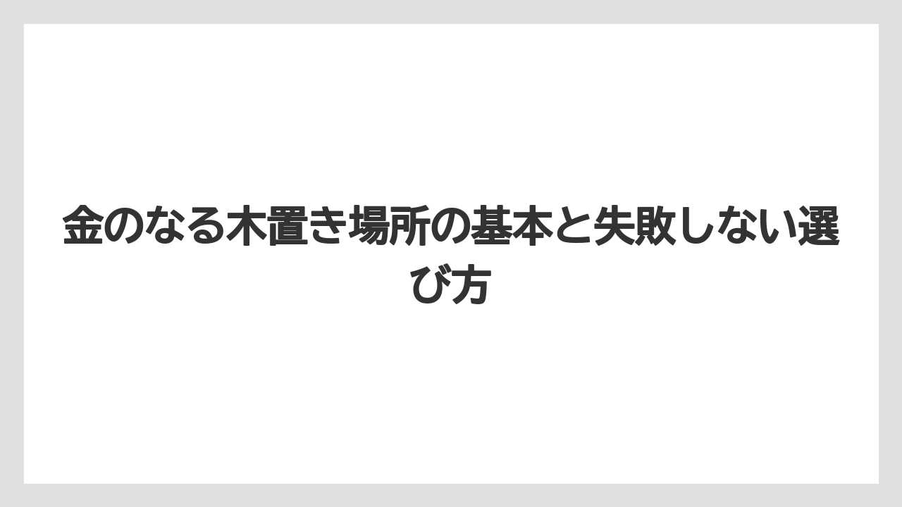 金のなる木置き場所の基本と失敗しない選び方