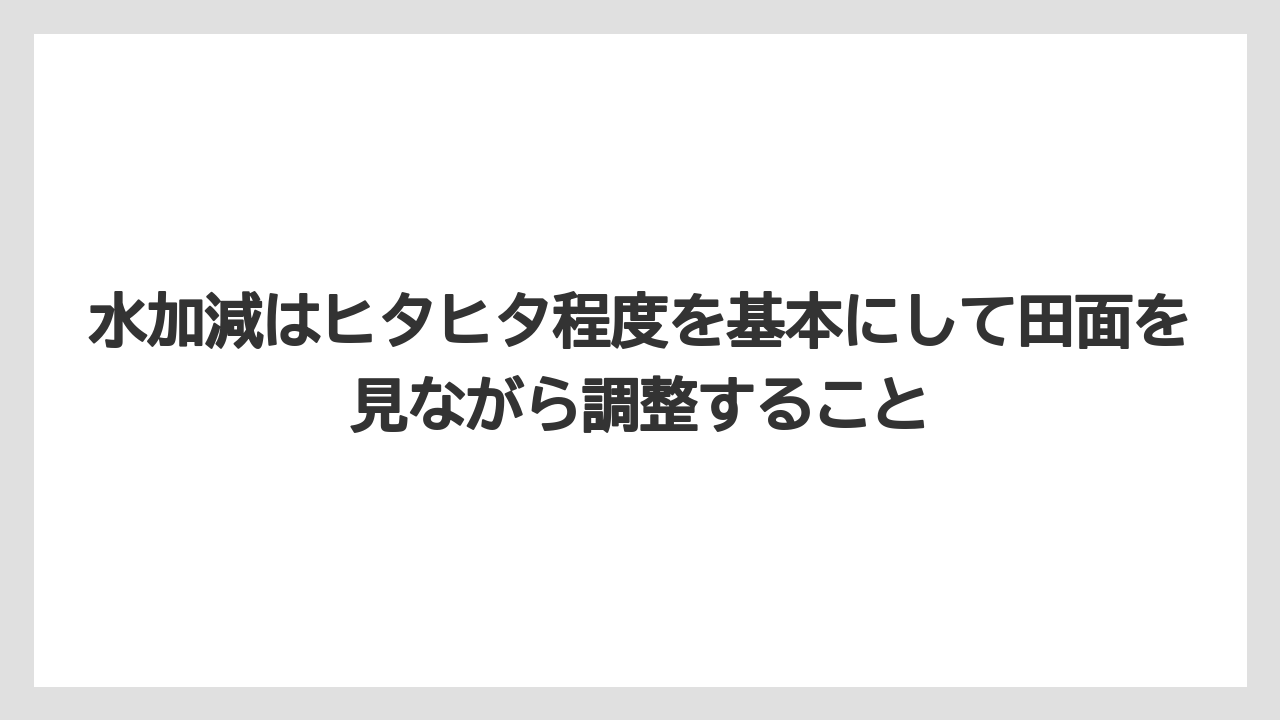 【栽培】【肥料】【農業】水加減はヒタヒタ程度を基本にして田面を見ながら調整すること