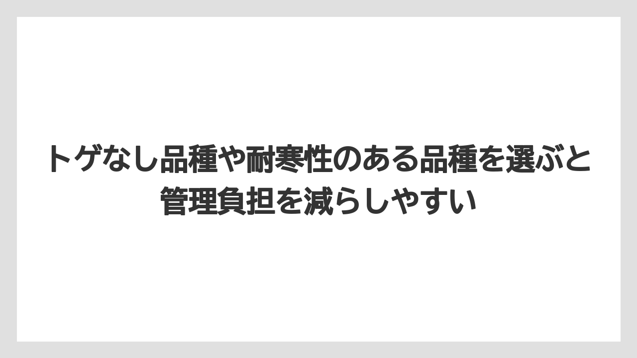 【レモン】【栽培】【農業】トゲなし品種や耐寒性のある品種を選ぶと管理負担を減らしやすい