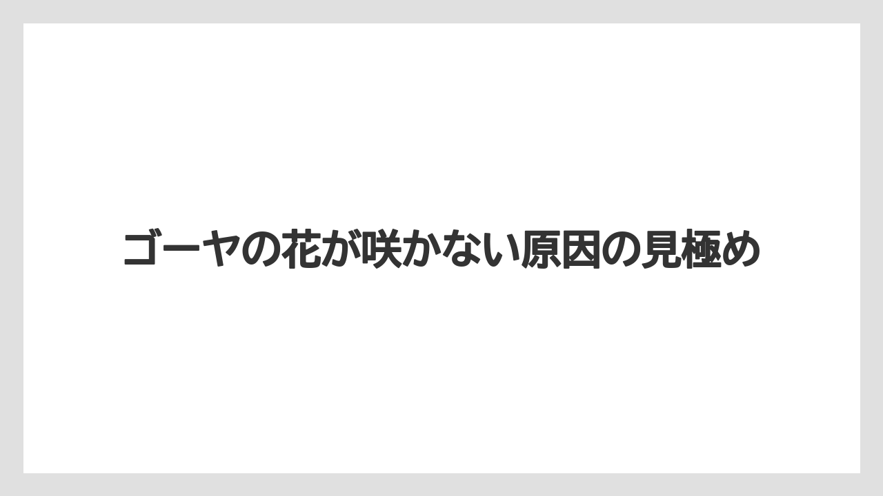 ゴーヤの花が咲かない原因の見極め