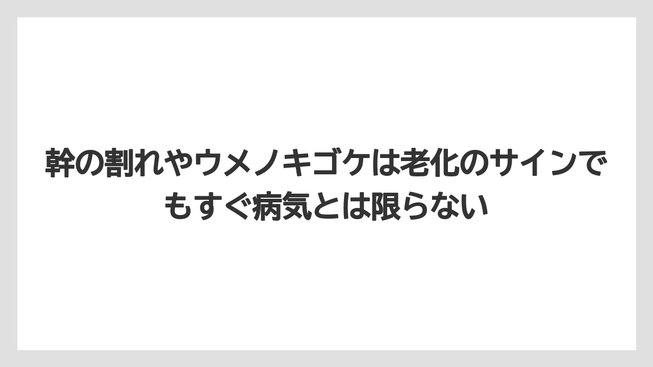 【栽培】【肥料】【農園】【農業】幹の割れやウメノキゴケは老化のサインでもすぐ病気とは限らない