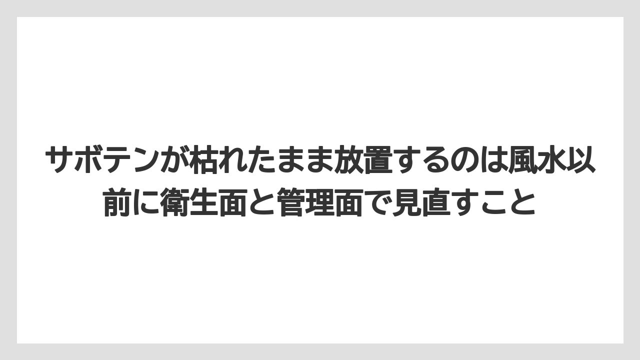【サボテン】【危険】【枯れ】【栽培】サボテンが枯れたまま放置するのは風水以前に衛生面と管理面で見直すこと
