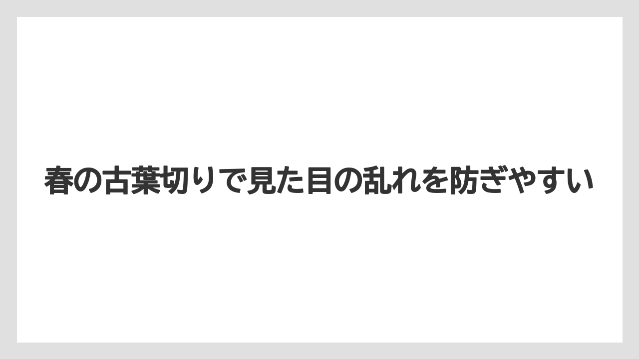 【栽培】【農園】【農業】春の古葉切りで見た目の乱れを防ぎやすい