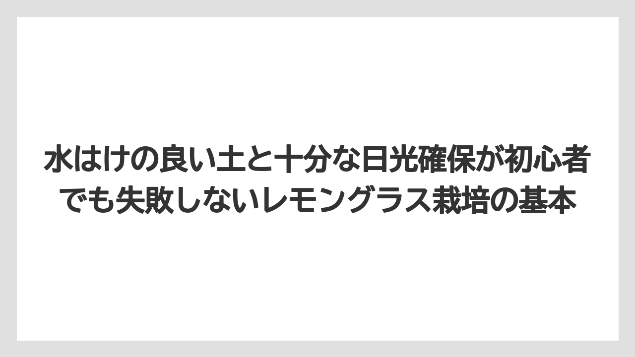 【レモン】【栽培】【農業】水はけの良い土と十分な日光確保が初心者でも失敗しないレモングラス栽培の基本