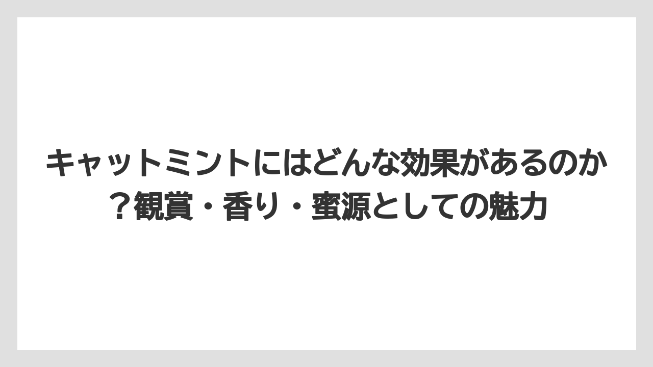 【ミント】【栽培】【猫】キャットミントにはどんな効果があるのか？観賞・香り・蜜源としての魅力