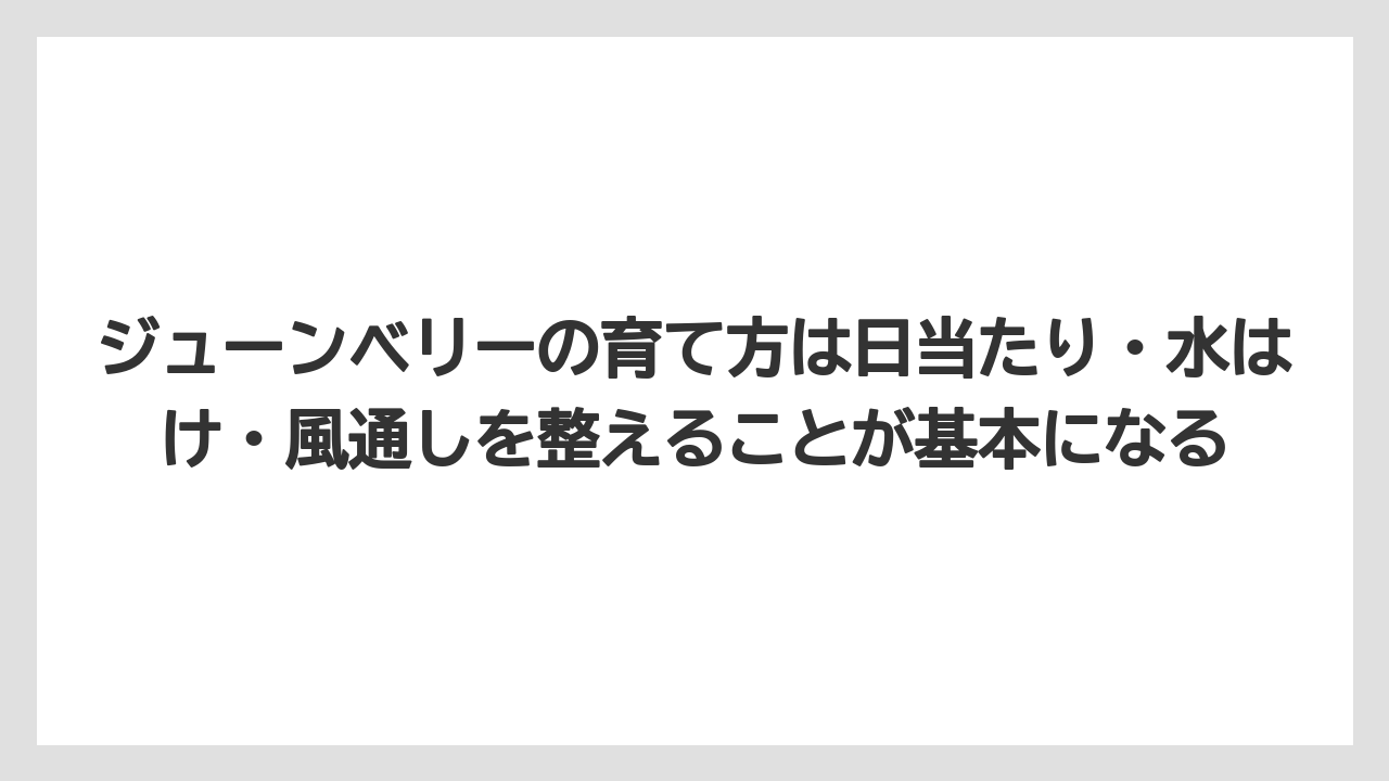 【庭】【後悔】【木】【栽培】ジューンベリーの育て方は日当たり・水はけ・風通しを整えることが基本になる