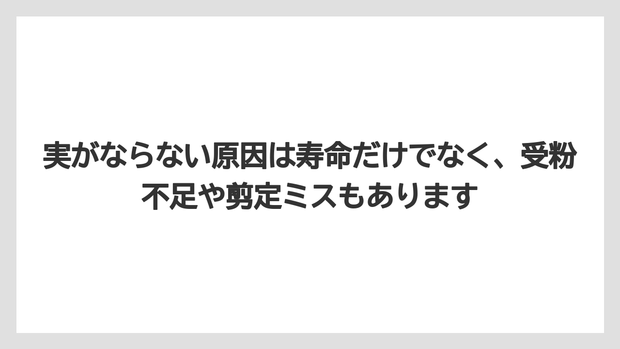 実がならない原因は寿命だけでなく、受粉不足や剪定ミスもあります