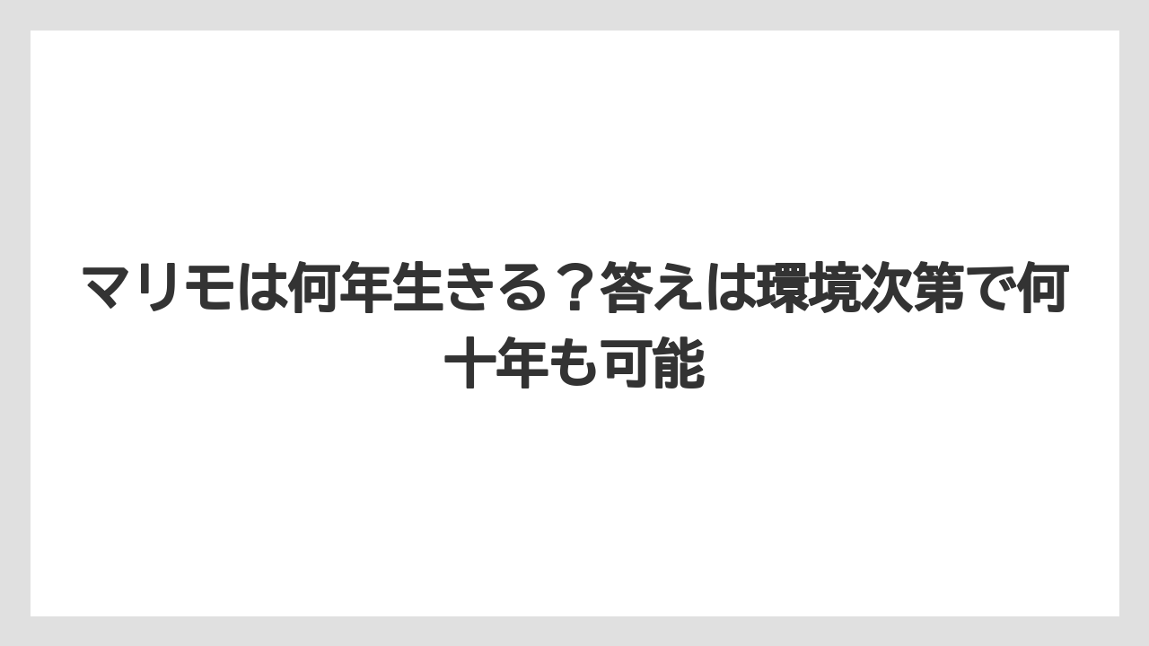 【栽培】【農園】【農業】マリモは何年生きる?答えは環境次第で何十年も可能