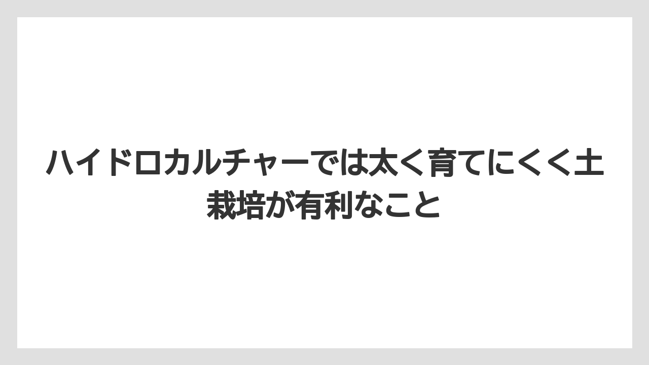 【パキラ】【木】【栽培】【育て方】ハイドロカルチャーでは太く育てにくく土栽培が有利なこと