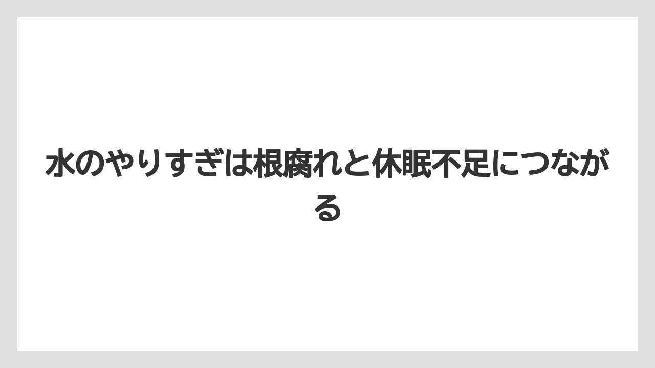 【栽培】【育て方】【花】【葉】水のやりすぎは根腐れと休眠不足につながる