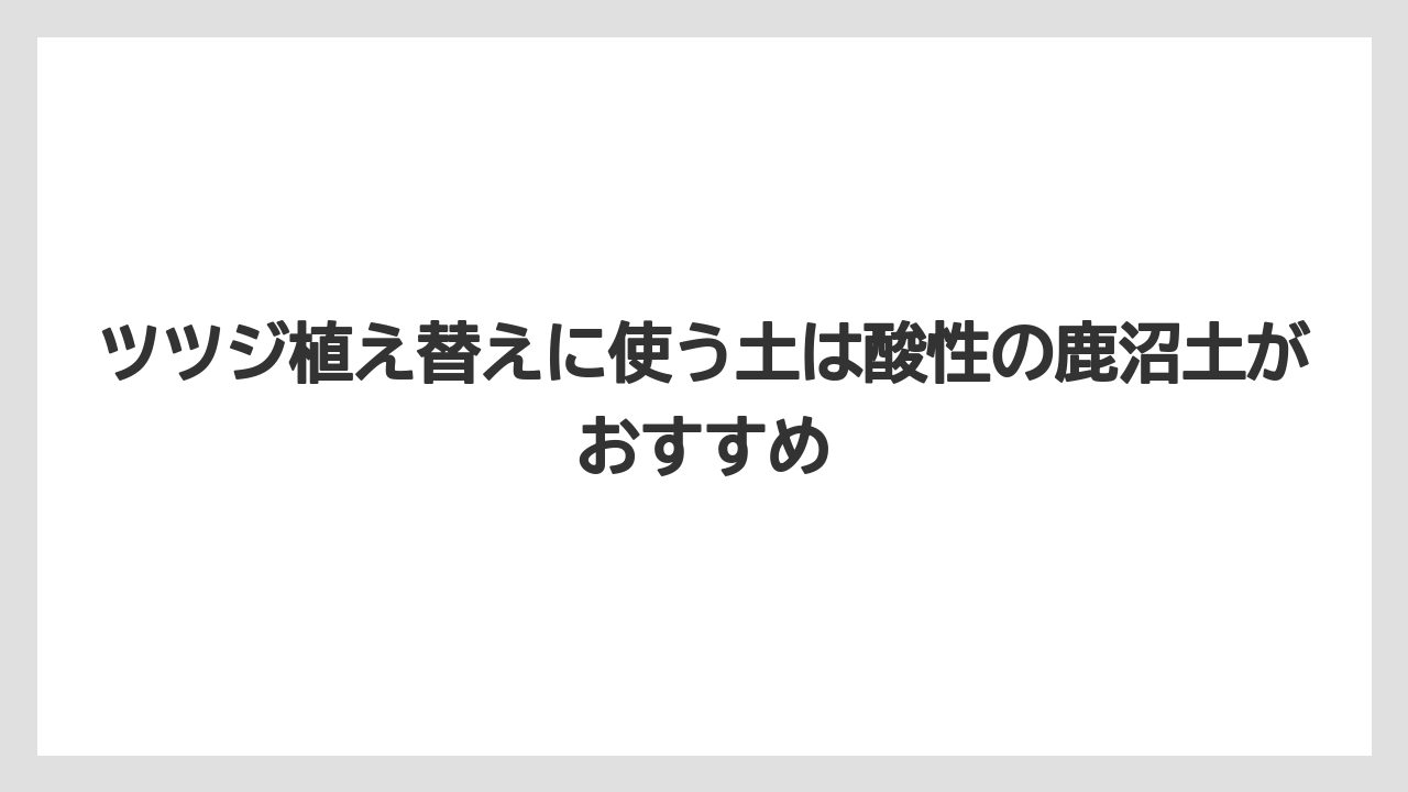 【栽培】【植え】【農業】ツツジ植え替えに使う土は酸性の鹿沼土がおすすめ