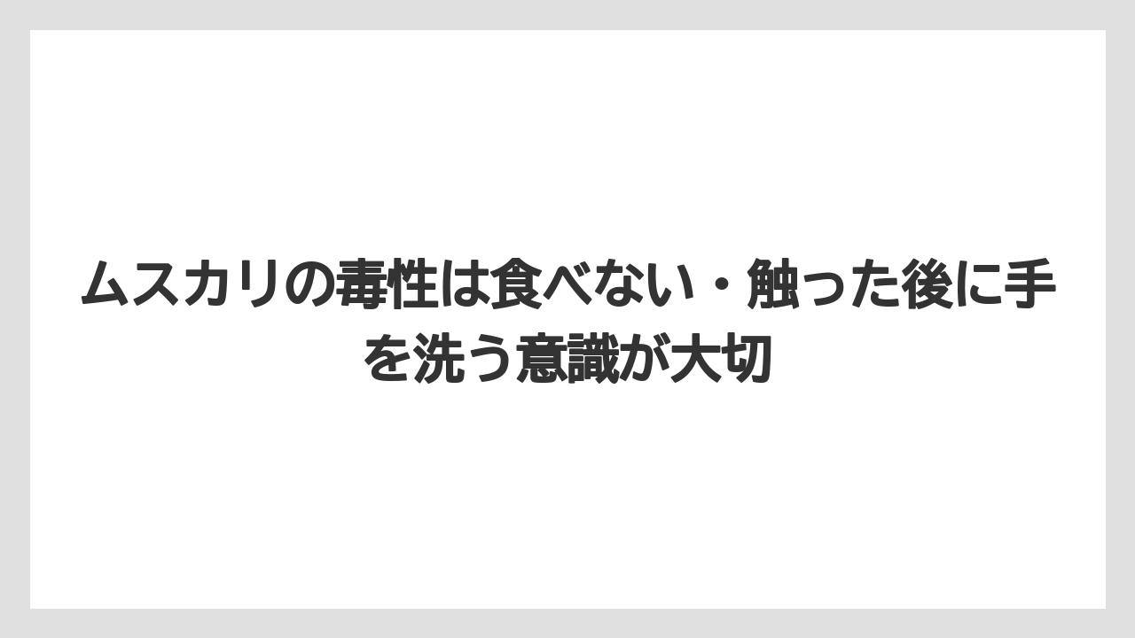 【栽培】【農園】【農業】ムスカリの毒性は食べない・触った後に手を洗う意識が大切