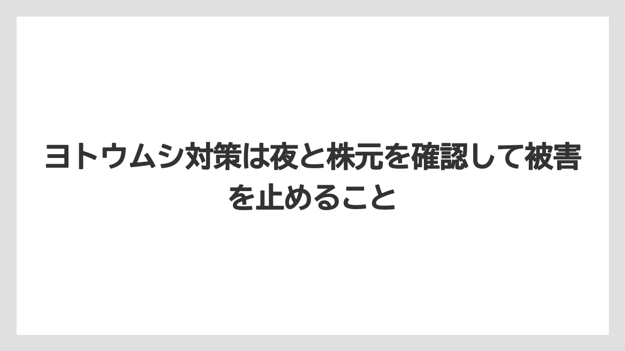 【栽培】【葉】【農業】ヨトウムシ対策は夜と株元を確認して被害を止めること