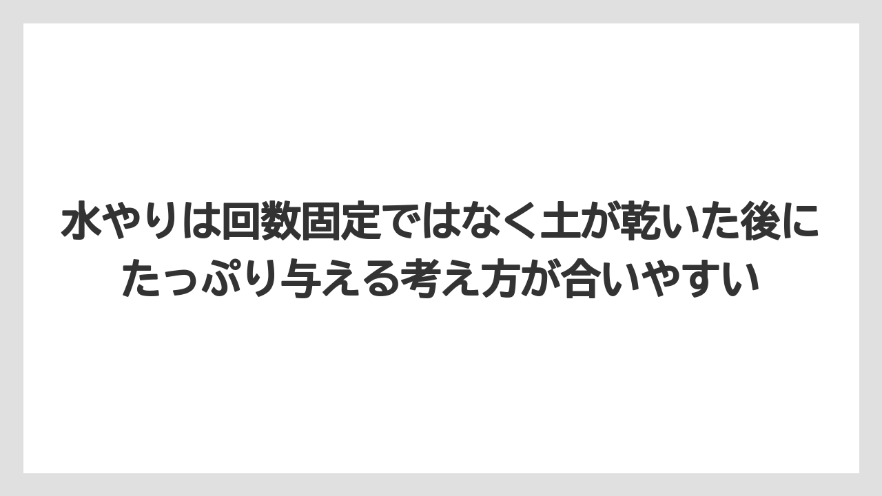【100均】【栽培】【農業】水やりは回数固定ではなく土が乾いた後にたっぷり与える考え方が合いやすい