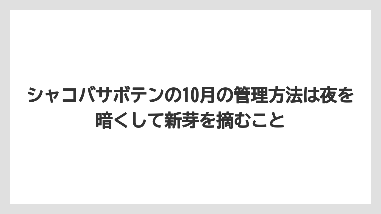 【サボテン】【栽培】【農業】シャコバサボテンの10月の管理方法は夜を暗くして新芽を摘むこと