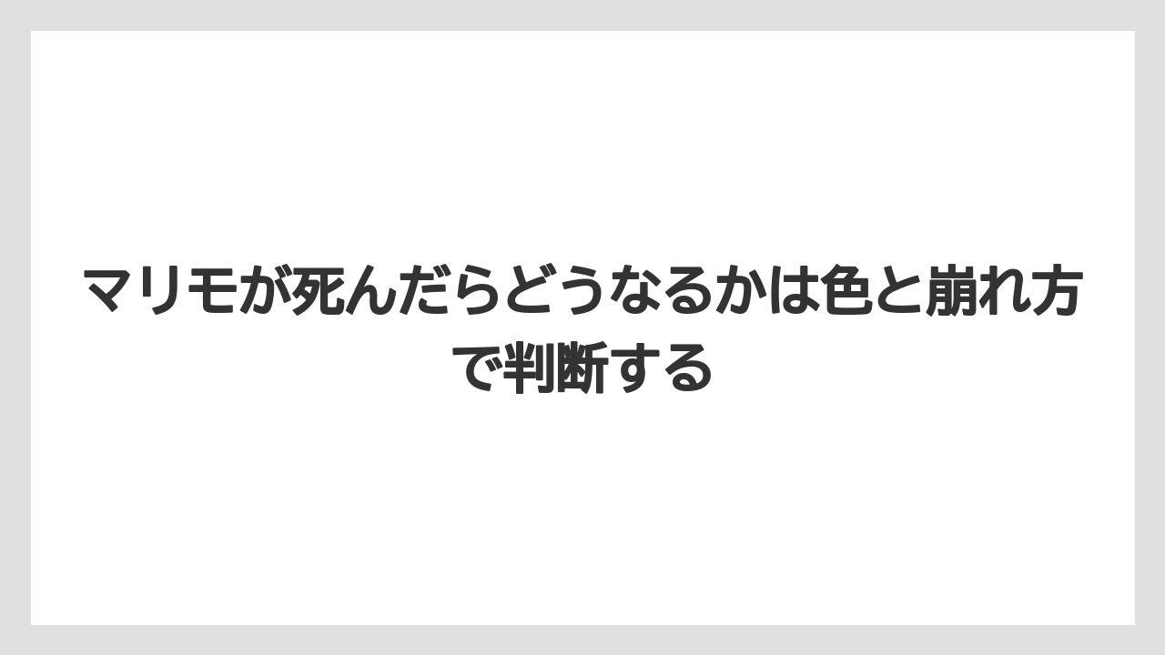 【栽培】【農園】【農業】マリモが死んだらどうなるかは色と崩れ方で判断する