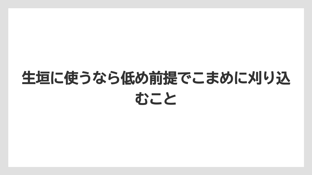 【レモン】【栽培】【農業】生垣に使うなら低め前提でこまめに刈り込むこと