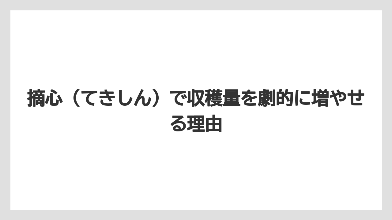 【いけない】【バジル】【後悔】【植え】【育て方】摘心（てきしん）で収穫量を劇的に増やせる理由