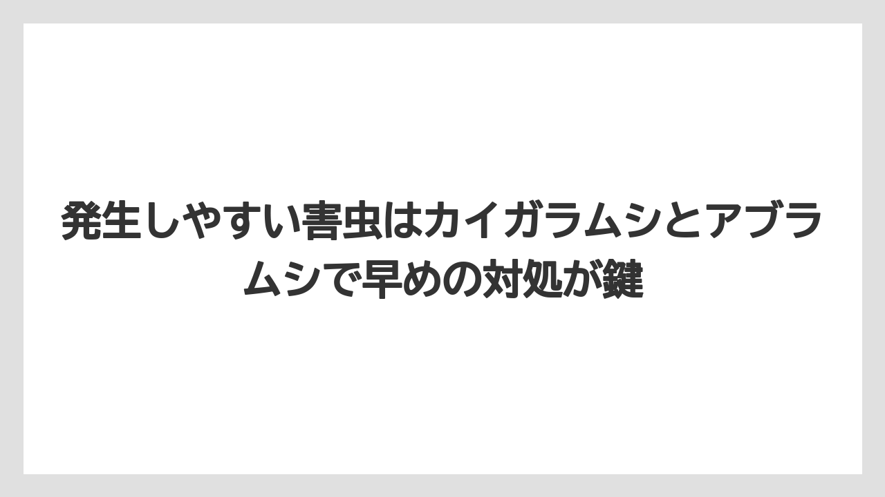 【ビバーナム】【後悔】【栽培】【植え】【育て方】発生しやすい害虫はカイガラムシとアブラムシで早めの対処が鍵