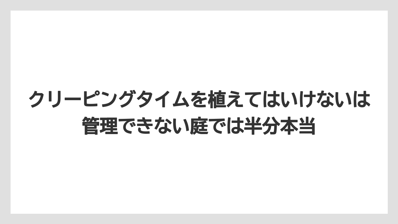 【いけない】【クリーピング】【庭】【後悔】【植え】クリーピングタイムを植えてはいけないは管理できない庭では半分本当