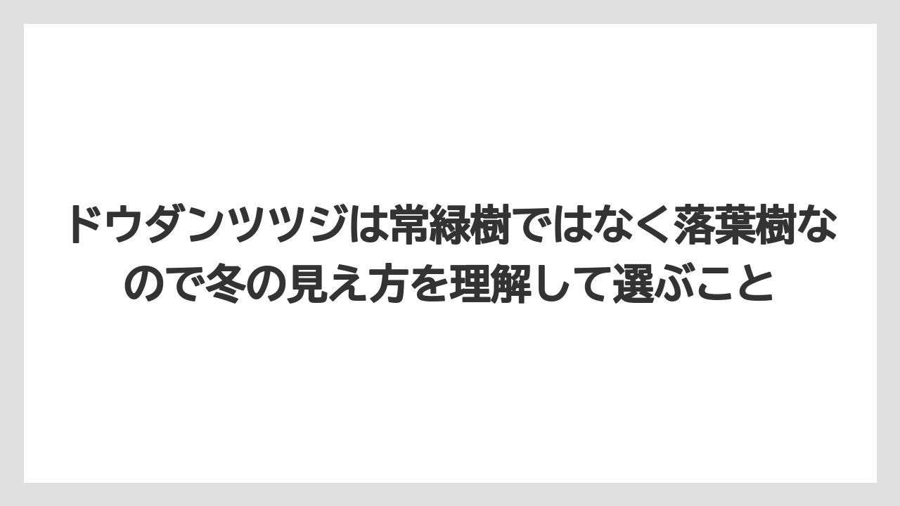 【栽培】【農園】【農業】ドウダンツツジは常緑樹ではなく落葉樹なので冬の見え方を理解して選ぶこと