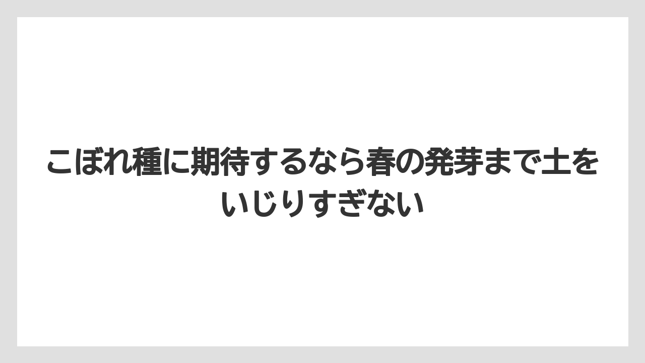 【栽培】【草】【越し】こぼれ種に期待するなら春の発芽まで土をいじりすぎない
