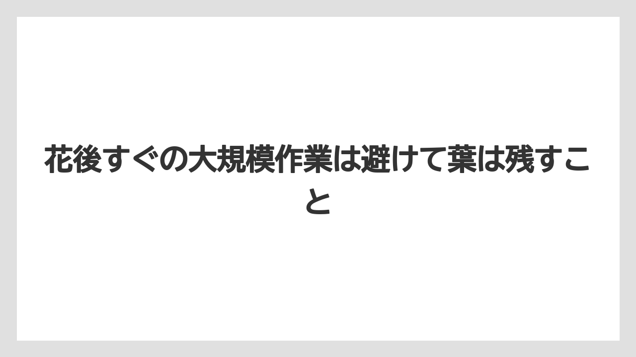 花後すぐの大規模作業は避けて葉は残すこと