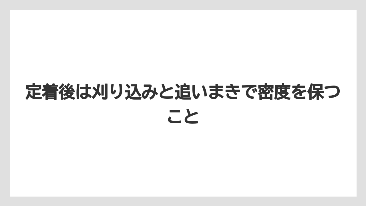 【栽培】【農園】【農業】定着後は刈り込みと追いまきで密度を保つこと