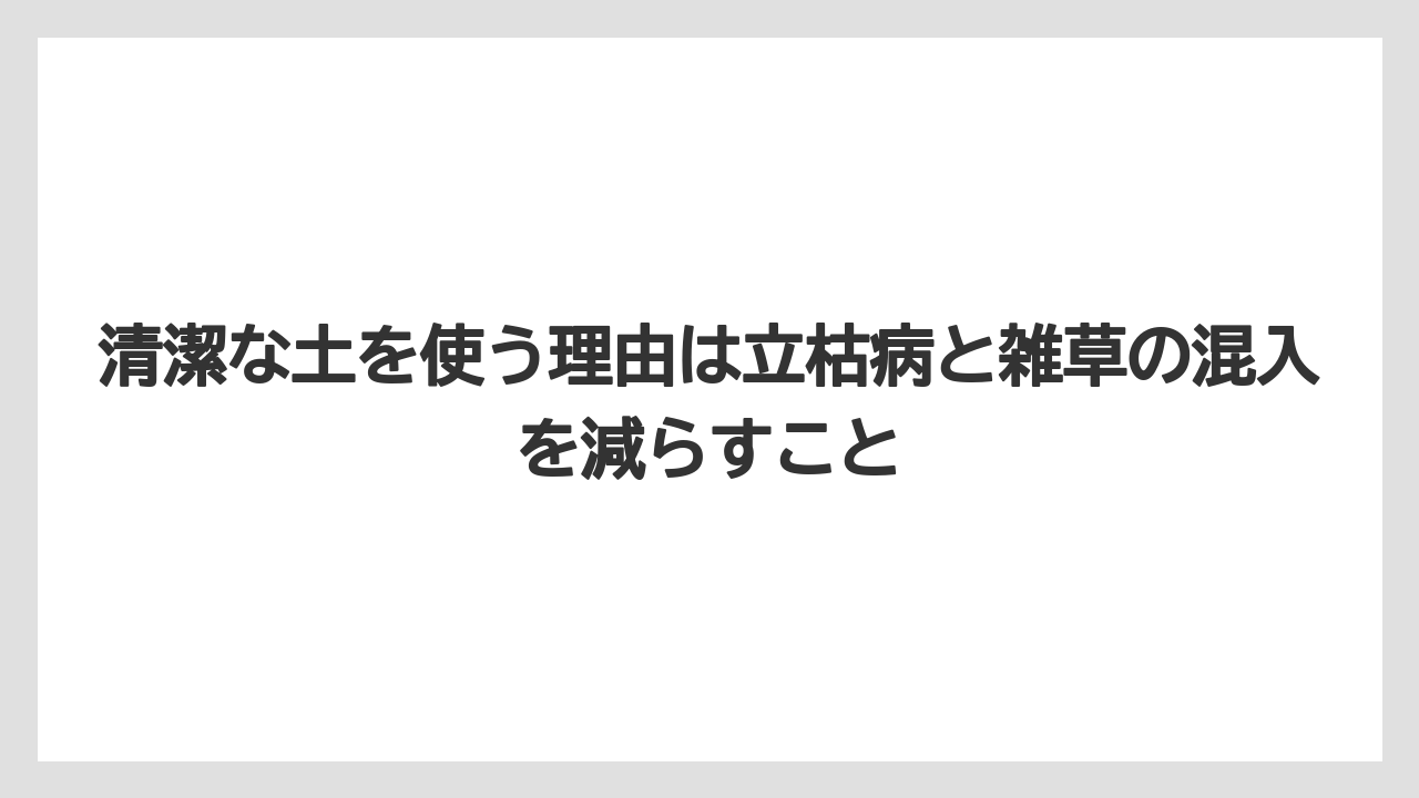【栽培】【農園】【農業】清潔な土を使う理由は立枯病と雑草の混入を減らすこと