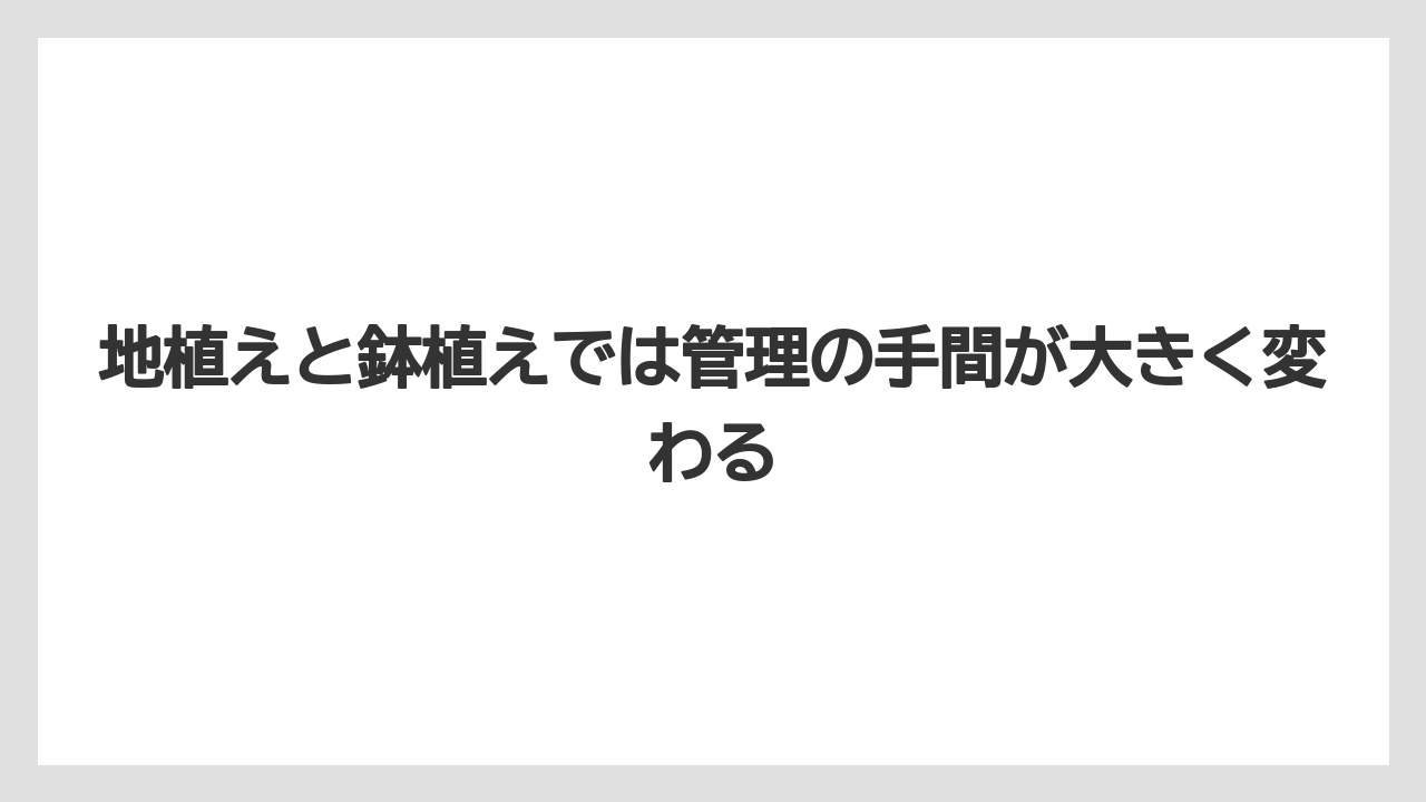 【栽培】【植え】【農業】地植えと鉢植えでは管理の手間が大きく変わる